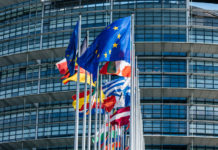 Nuovo parlamento europeo: verso la ricostituzione dell’intergruppo sulla caccia bandiere dei Paesi membri davanti al nuovo parlamento europeo