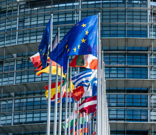 Nuovo parlamento europeo: verso la ricostituzione dell’intergruppo sulla caccia bandiere dei Paesi membri davanti al nuovo parlamento europeo