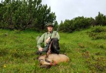 Caccia al camoscio senza frontiere caccia al camoscio