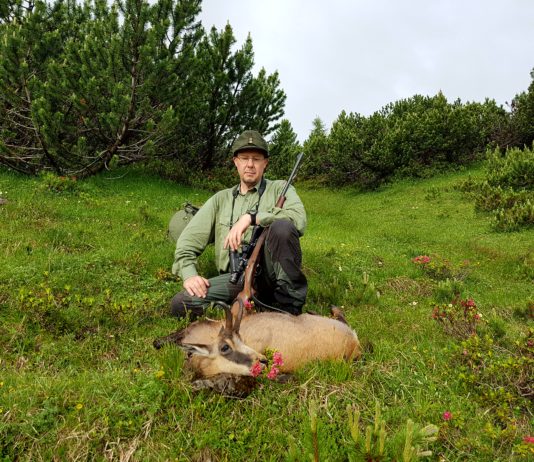Caccia al camoscio senza frontiere caccia al camoscio