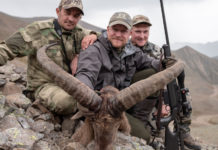 Caccia all’estero: il tur del Medio Caucaso a picco sullo strapiombo Caccia all'estero: Simon K. Barr col trofeo di tur del Medio Caucaso cacciato in Russia