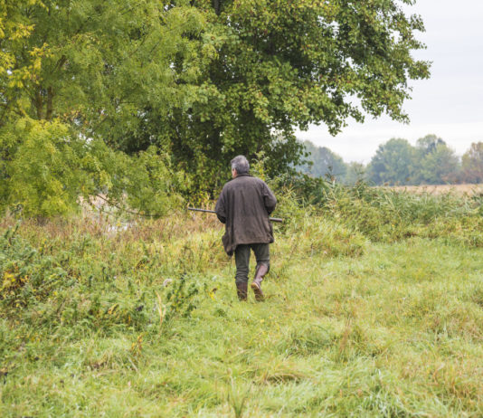 Caccia in Puglia, ancora possibile modifica date di chiusura Caccia in Puglia: cacciatore di spalle con fucile nel bosco