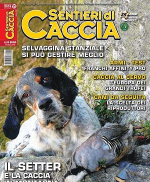 Sentieri di Caccia n. 11 novembre 2019 Sentieri di Caccia novembre 2019