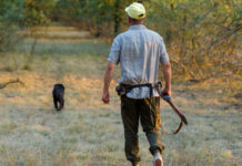 Incontro tra Federcaccia e Beretta: parole d’ordine sicurezza e modernità Incontro tra Federcaccia e Beretta: cacciatore di spalle con fucile in mano e cappello in testa, cane davanti