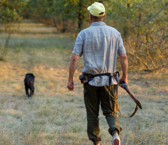 Incontro tra Federcaccia e Beretta: parole d’ordine sicurezza e modernità Incontro tra Federcaccia e Beretta: cacciatore di spalle con fucile in mano e cappello in testa, cane davanti