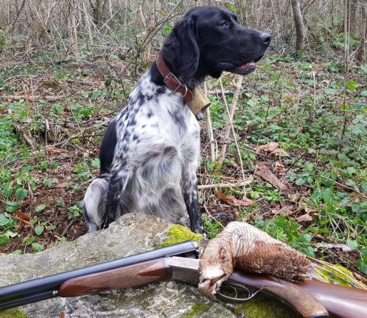 Il nuovo numero di Beccacce che Passione vi aspetta in edicola Beccacce che Passione