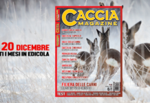 Caccia Magazine, la nuova rivista di caccia
