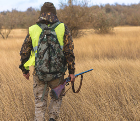 Caccia in Lombardia, alcune misure per la semplificazione Caccia in Lombardia: cacciatore di spalle