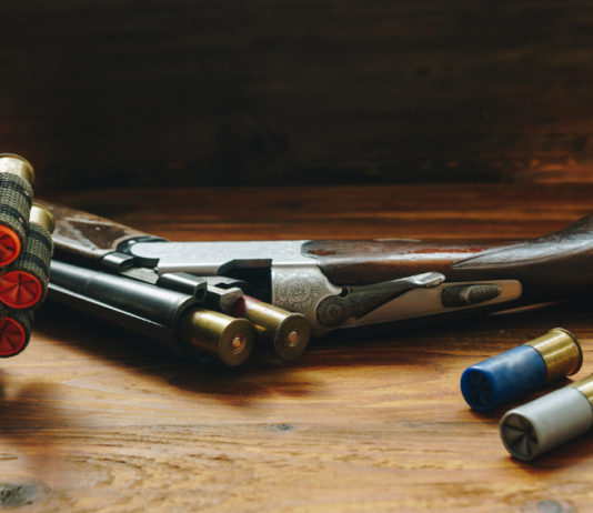 Confisca del fucile da caccia: la sentenza della Cassazione Confisca del fucile da caccia la sentenza della Cassazione