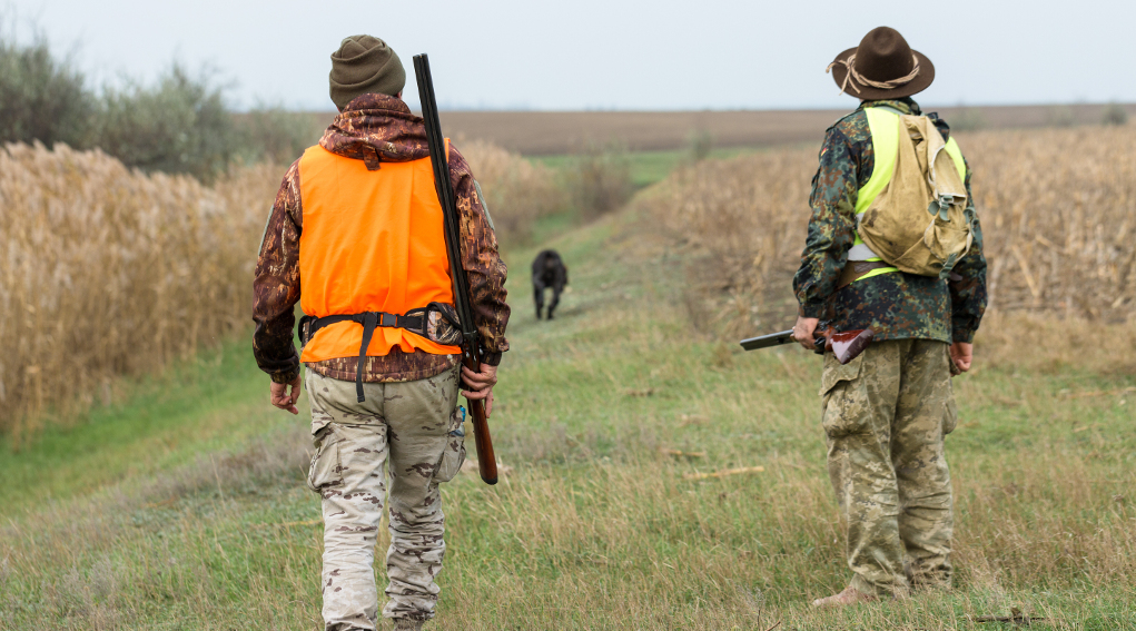 funzioni degli ambiti territoriali di caccia: due cacciatori di spalle con abbigliamento alta visibilità, davanti a loro un cane da caccia