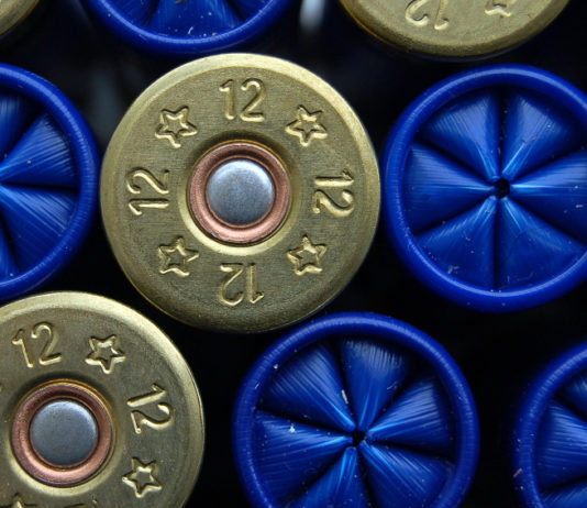 Munizioni in piombo, le associazioni europee fanno blocco munizioni in piombo calibro 12