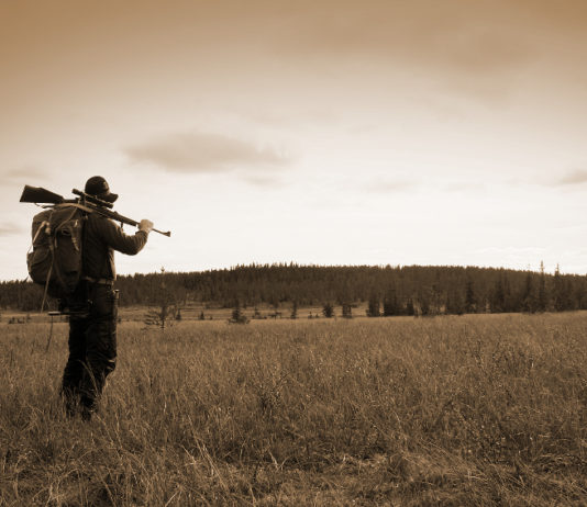 Nuova politica agricola europea: la posizione dei cacciatori nuova politica agricola europea: cacciatore con zaino e fucile in spalla in paesaggio nordico