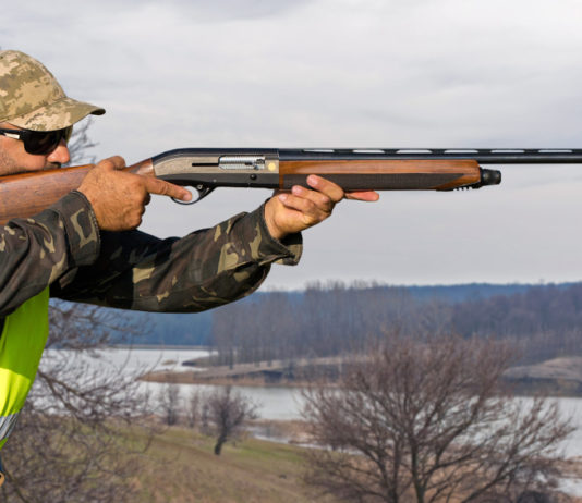 Nuovo ricorso sul calendario venatorio della Puglia Nuovo ricorso sul calendario venatorio della Puglia