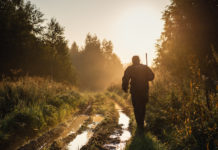 Riforma della legge sulla caccia? Prima è necessaria una verifica riforma della legge sulla caccia: cacciatore di spalle al tramonto
