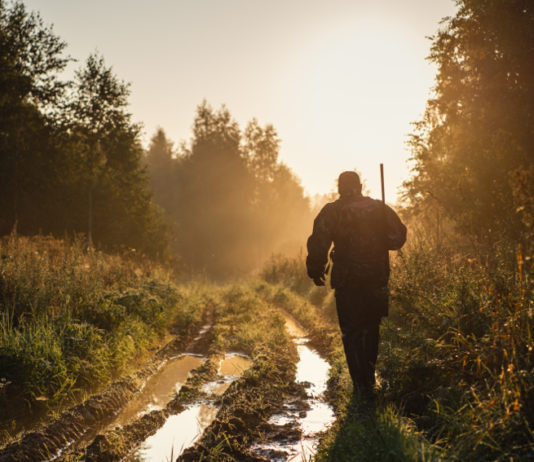 Riforma della legge sulla caccia? Prima è necessaria una verifica riforma della legge sulla caccia: cacciatore di spalle al tramonto