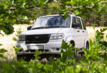 Fuoristrada e caccia: buone notizie in Toscana Fuoristrada e caccia