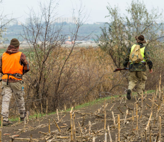 Interscambio di cacciatori tra Veneto e Toscana, la proposta di Arcicaccia Interscambio di cacciatori tra Veneto e Toscana: due cacciatori in abbigliamento alta visibilità, di spalle