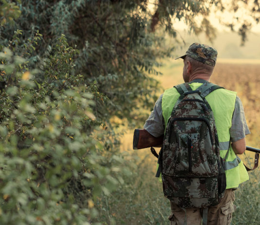 Costituita la cabina di regia delle associazioni venatorie toscane associazioni venatorie toscane: cacciatore con gilet alta visibilità di spalle