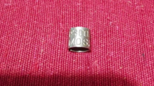 beccaccia inanellata