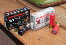 Winchester XP3 e Super X Slug: due soluzioni per il cinghiale Winchester XP3 e Super X Slug