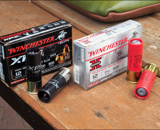 Winchester XP3 e Super X Slug: due soluzioni per il cinghiale Winchester XP3 e Super X Slug