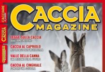 Caccia Magazine n. 1 gennaio 2020