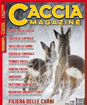 Caccia Magazine n. 1 gennaio 2020