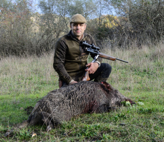 Cosmi rigato: il test in anteprima cosmi rigato il test in anteprima