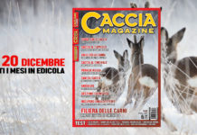 Il primo numero di Caccia Magazine in edicola dal 20 dicembre primo numero di caccia magazine gennaio 2020