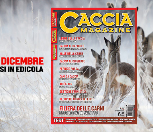 Il primo numero di Caccia Magazine in edicola dal 20 dicembre primo numero di caccia magazine gennaio 2020