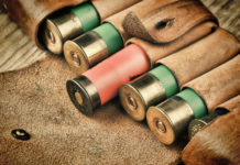 Balistica delle munizioni spezzate: annunciato corso di Conarmi balistica delle munizioni spezzate: cartucce nel fodero