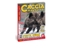 Caccia Magazine febbraio 2020 in edicola dal 20 gennaio Caccia Magazine febbraio 2020 in edicola dal 20 gennaio