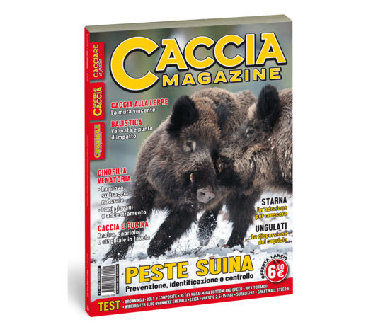 Caccia Magazine febbraio 2020 in edicola dal 20 gennaio Caccia Magazine febbraio 2020 in edicola dal 20 gennaio