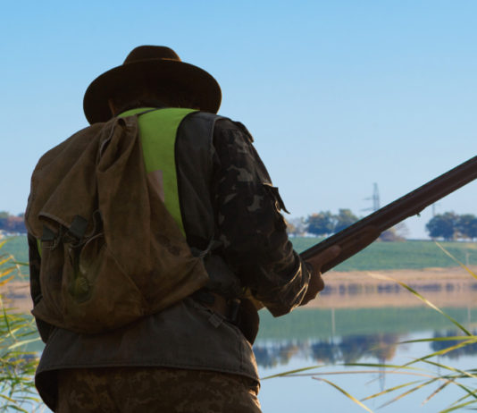 Caccia nelle aree Rete Natura 2000: la posizione della giunta delle Marche Caccia nelle aree Rete Natura 2000: cacciatore di spalle in zona umida