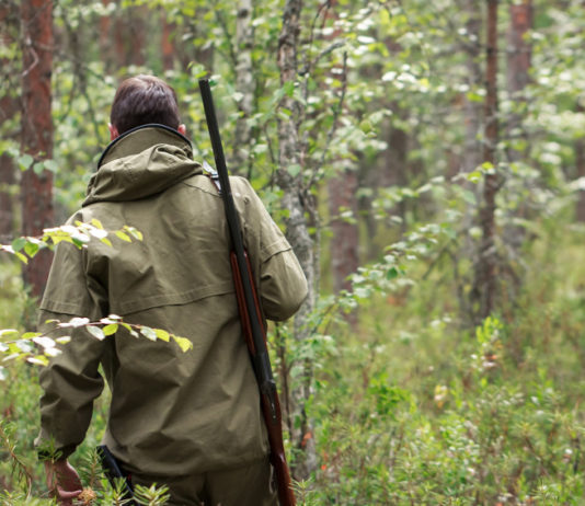 Federcaccia Lombardia: “Sentenza Corte costituzionale? Una vittoria e due sconfitte” federcaccia lombardia: cacciatore di spalle nel bosco col fucile a tracolla