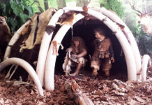 Le origini della caccia: la mostra a Hit Show 2020 Le origini della caccia, la mostra a Hit Show 2020