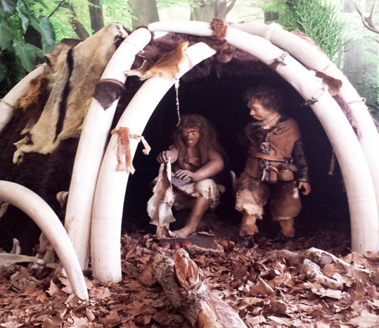 Le origini della caccia: la mostra a Hit Show 2020 Le origini della caccia, la mostra a Hit Show 2020