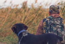 Piano faunistico-venatorio delle Marche, ascoltate le associazioni venatorie Piano faunistico venatorio delle Marche: cacciatore di spalle con cane