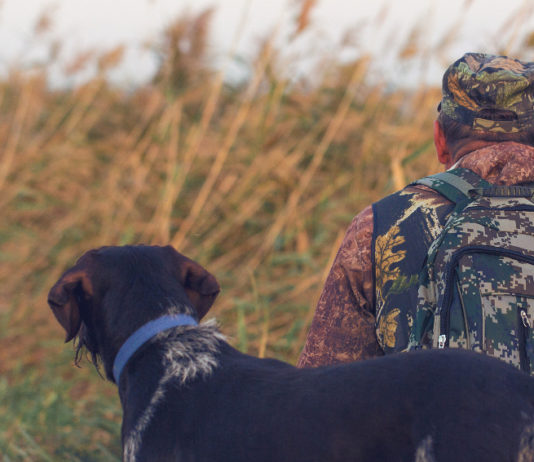 Piano faunistico-venatorio delle Marche, ascoltate le associazioni venatorie Piano faunistico venatorio delle Marche: cacciatore di spalle con cane