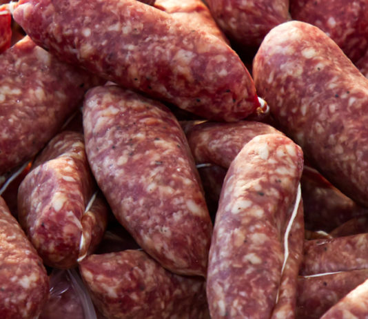 Trichinellosi: caso in Val di Susa, le indicazioni della Asl trichinellosi, salsicce crude di cinghiale