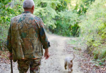 Approvato il piano faunistico-venatorio delle Marche piano faunistico-venatorio delle Marche: cacciatore di spalle dietro a cane