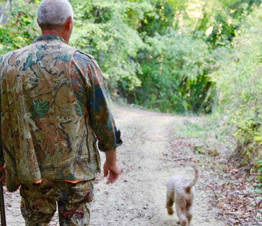 Approvato il piano faunistico-venatorio delle Marche piano faunistico-venatorio delle Marche: cacciatore di spalle dietro a cane