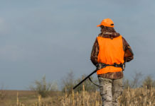 Caccia in Campania, insoddisfazione di Arcicaccia per la legge di riforma caccia in campania: cacciatore in alta visibilità con fucile