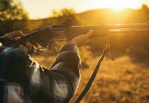 Corso per aspiranti cacciatori: l’iniziativa di Federcaccia Corso per aspiranti cacciatori: cacciatore al tramonto