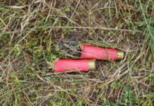 Divieto di utilizzare munizioni in piombo: Face chiarisce il proprio parere Divieto di utilizzare munizioni in piombo: due cartucce nell'erba