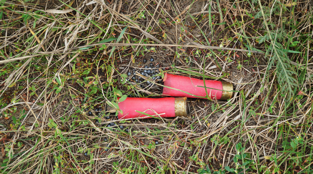 Divieto di utilizzare munizioni in piombo: due cartucce nell'erba