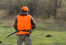Federcaccia Campania: “Approvate rapidamente modifica legge sulla caccia” federcaccia campania: cacciatore di spalle in alta visibilità