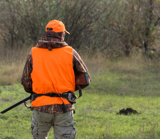 Federcaccia Campania: “Approvate rapidamente modifica legge sulla caccia” federcaccia campania: cacciatore di spalle in alta visibilità
