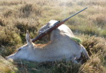 La ricarica del .257 Roberts La ricarica del .257 Roberts: cerva abbattuta con calibro .257 Roberts