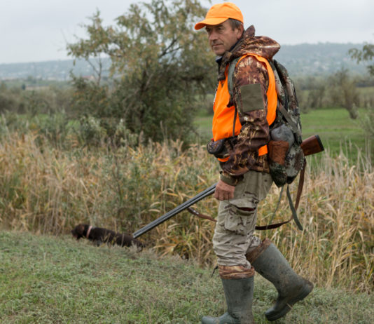 Legge toscana sulla caccia, le proposte della cabina di regia regionale legge toscana sulla caccia: cacciatore in alta visibilità con fucile in mano, cane al suo fianco, costeggiano campo